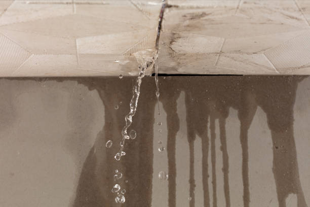 Professional Burst Pipe Cleanup technician working in Wolfe City, TX
